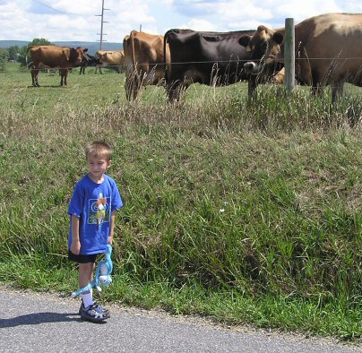 Isaac and Cows